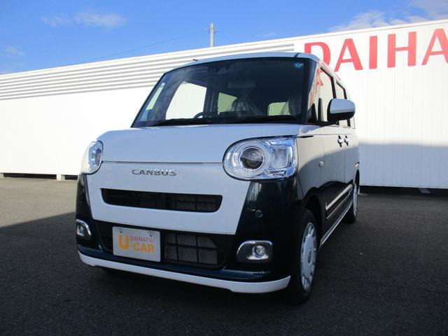 ムーヴキャンバス  ストライプス G