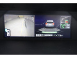 サイドビュー表示 黄色のガイドラインは車体からの距離約30cm、車両先端、ホイールセンターの位置を示しドライバーをアシストします。