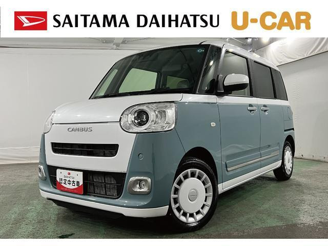 ムーヴキャンバス  ストライプス G