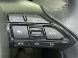 ステアリングスイッチ付き。前方から目を離すことなく操作することが可能です。