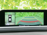 画面には車両周辺の映像とガイド線が表示され、駐車時の位置確認をサポートします。停車中には映像表示を活用でき、画面上で周囲の状況を確かめられます。