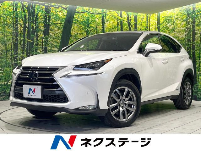 NX 300h Iパッケージ 
