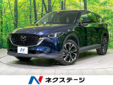 全周囲カメラ 電動リアゲート LEDヘッド 全席シートヒーター ETC