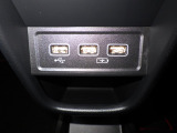USBチャージャー付きです。
