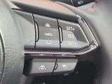 ステアリングスイッチで、先行車に自動追従するアダプティブクルーズコントロールが作動可能。設定した車速内での車間距離を自動で調整・維持。高速道路の渋滞時もアクセル・ブレーキ操作から解放されます。
