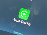 アップルカープレイ!