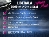 Aクラス A250 4MATIC AMGライン 4WD 本革シート