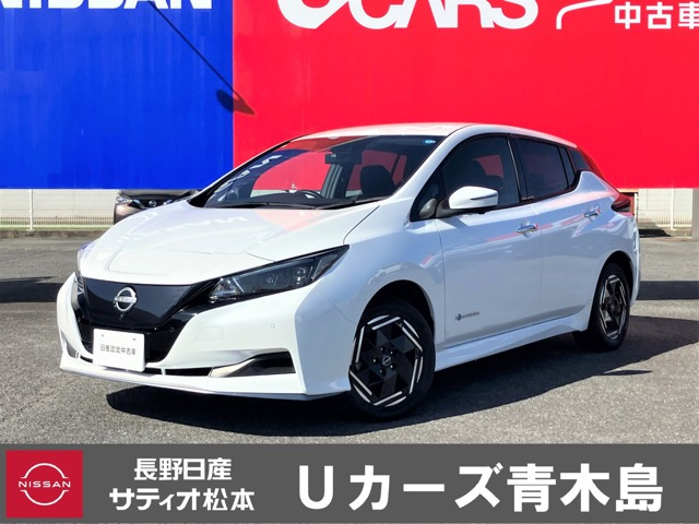 リーフ e+ X