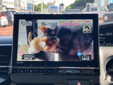 停車中にテレビ番組の映像を視聴でき、休憩時間や待ち合わせの合間にも活用できます。画面から番組を楽しめるため、車内で過ごす時間の選択肢が広がります。