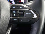 ステアリングスイッチ付き。前方から目を離すことなく操作することが可能です。
