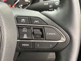 前方の車との車間を設定し、スピードを上げたり緩めたりを自動で行ってくれる追尾式の「レーダークルーズ」。上級装備の一つです!高級車にしかつかない嬉しい機能です。