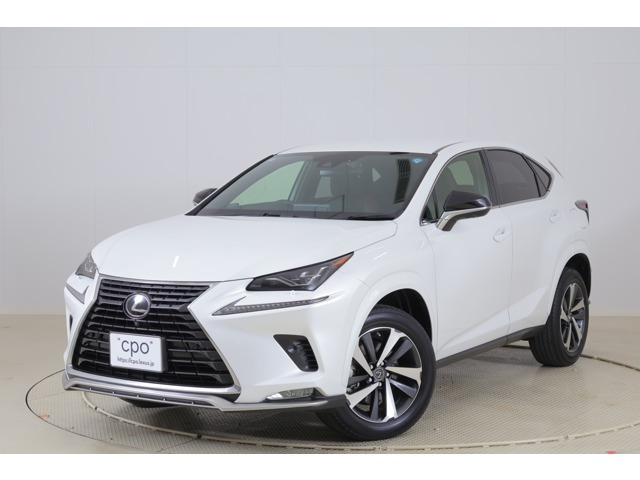NX 300 スパイス&シック 4WD