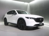 安定感のあるプロポーションのリアビュー。さらに、リアコンビネーションランプの間をつなぐメッキモールがリア全体を引き締めボディ全体のラインのつながりを強調しているんです