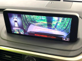 RX 300 Fスポーツ 