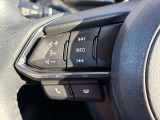 ステアリング左にはオーディオスイッチをまとめて配置しており、運転中のオーディオ操作による危険を減らしてくれます。