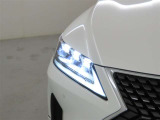 精悍な目つきのLEDヘッドランプを装備しております。