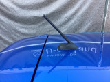 アンテナはルーフロッドタイプです