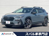 STIマフラー ルーフレール 全周囲カメラ 11.6型ナビ ETC