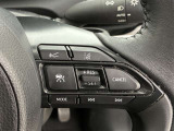 前方の車との車間を設定し、スピードを上げたり緩めたりを自動で行ってくれる追尾式の「レーダークルーズ」。上級装備の一つです!高級車にしかつかない嬉しい機能です。
