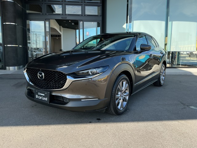 CX-30 2.0 20S プロアクティブ 