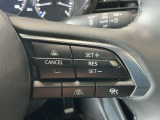 レーダークルーズコントロールを装備。アクセルやブレーキを操作しなくても、自動で先行車との車間距離を保ち追従走行できます。長距離や高速道路を運転する際に、ドライバーへの負担を軽減します。