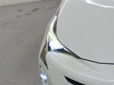 精悍な目つきのLEDヘッドランプを装備しております。