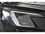 LEDヘッドランプは白色または青白い光を放ちます。夜間でも遠くまで見通しが良くなり、道路標識や歩行者をより早く認識できます。
