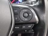 レーダークルーズコントロール作動時に車線維持に必要な運転操作の支援を行う「レーントレーシングアシスト(LTA)」を搭載しています。
