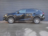 NX 300h 