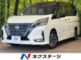 セーフティパックA 純正10型ナビ フリップダウンモニター 全周囲カメラ