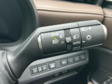 表示されたマークで各種灯火類の操作内容を確認しやすいレバーです。運転中も手元で扱いやすく、周囲への合図や夜間の視認を意識した操作に役立ちます。