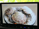 テレビ映像を画面に表示でき、停車中の休憩時間に番組を視聴して過ごせます。画面は見やすい大きさで、車内で待ち時間があるときにも映像を楽しめる便利な装備です。