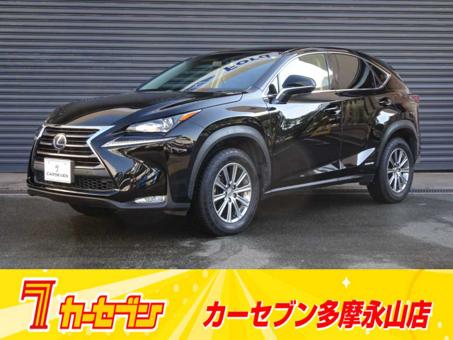 NX 300h