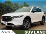 純正10型ナビ 全周囲カメラ パワーバックドア レーダークルーズコントロ