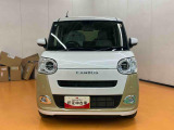 ムーヴキャンバス  ストライプス G