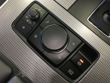 コマンダーコントロール。スイッチを探すことなく自然に手を下した位置に配置。手元を見ることなく、各種操作が行えます。
