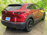CX-30 2.0 20S レトロスポーツエディション 
