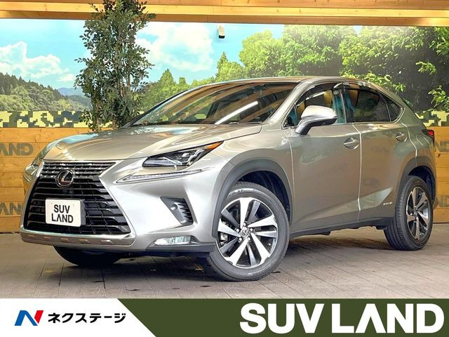NX 300h Iパッケージ