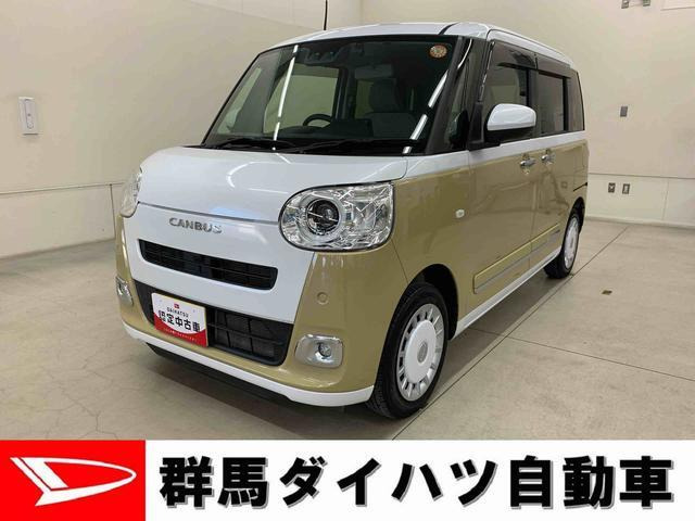 ムーヴキャンバス  ストライプス G
