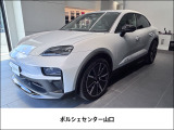 オプションカラーアイス グレー メタリック