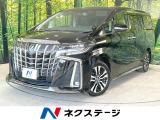 純正9型ディスプレイ 後席モニター バックカメラ 両側電動ドア