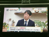 テレビ番組を画面で視聴でき、停車中の待ち時間にも活用いただけます。番組映像に加えて字幕も表示されるため、音声を出しにくい場面でも内容を確認しやすく、車内で過ごす時間に便利です。