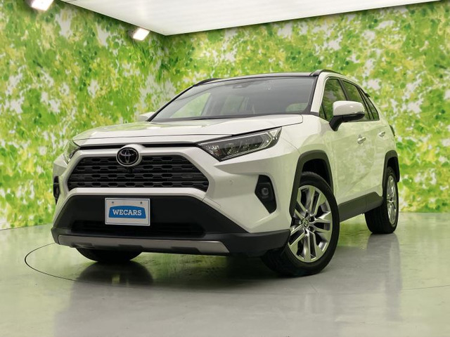 RAV4 2.0 G Zパッケージ 4WD 