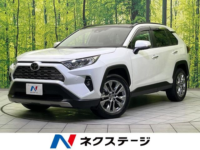 RAV4 2.0 G Zパッケージ 4WD 