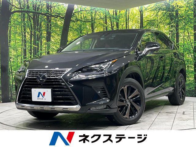 NX 300 バージョンL 
