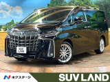 禁煙車 BIGX11型 両側電動ドア バッカメラ レーダークルーズ