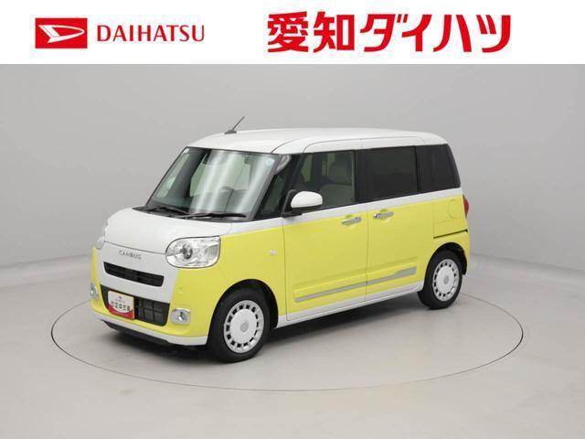 ムーヴキャンバス  ストライプス G