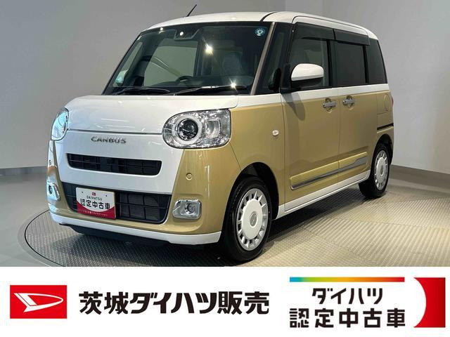 ムーヴキャンバス  ストライプス G