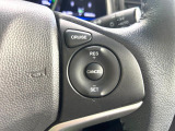 【クルーズコントロール】高速道路もラクラク走行。アクセルを離しても一定速度で走行ができ、長距離運転時の負担を軽減!加速・減速も簡単なスイッチ操作で調整できます。