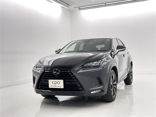 NX 300 ブロンズ エディション 